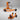 KTM FRONT AND REAR MOTORCYCLE STAND S